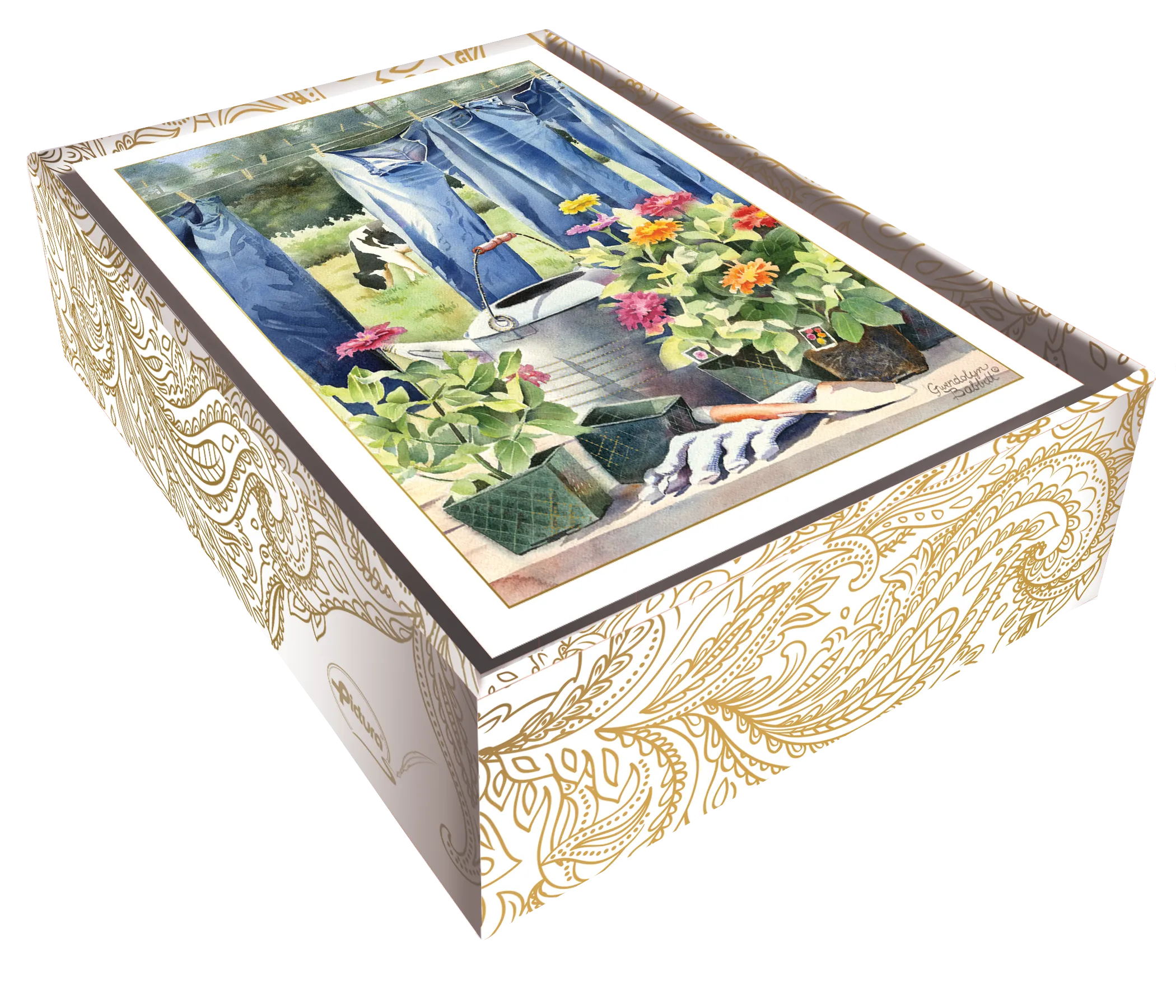 Blue Jeans Blank Boxed Notes