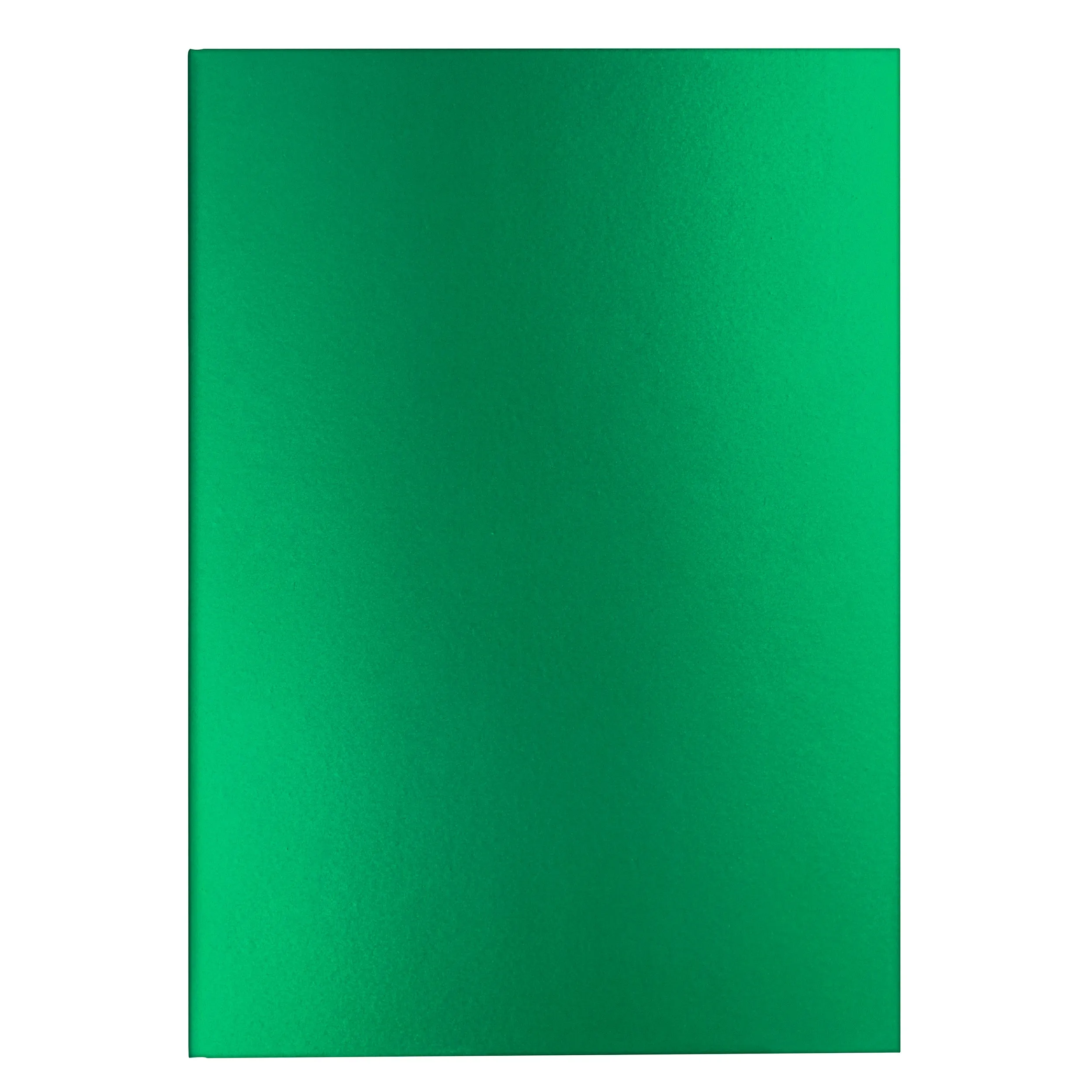 Caran d'Ache COLORMAT-X Lined Notebook in Green - A5