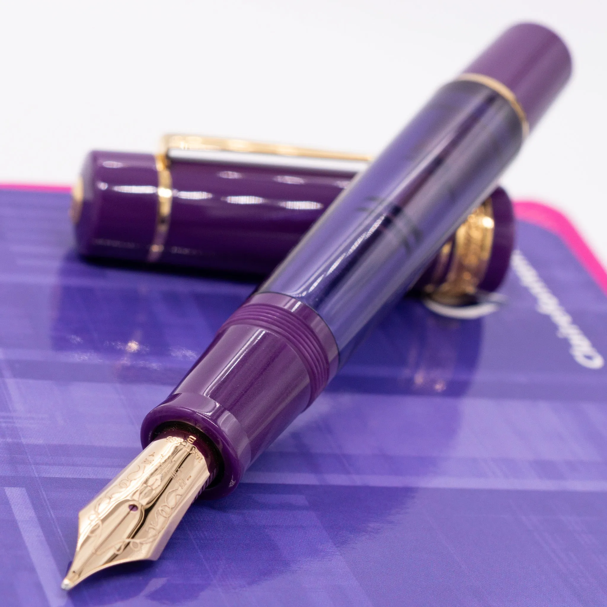 Delta Majestic Purple Limited Edition Fountain Pen
