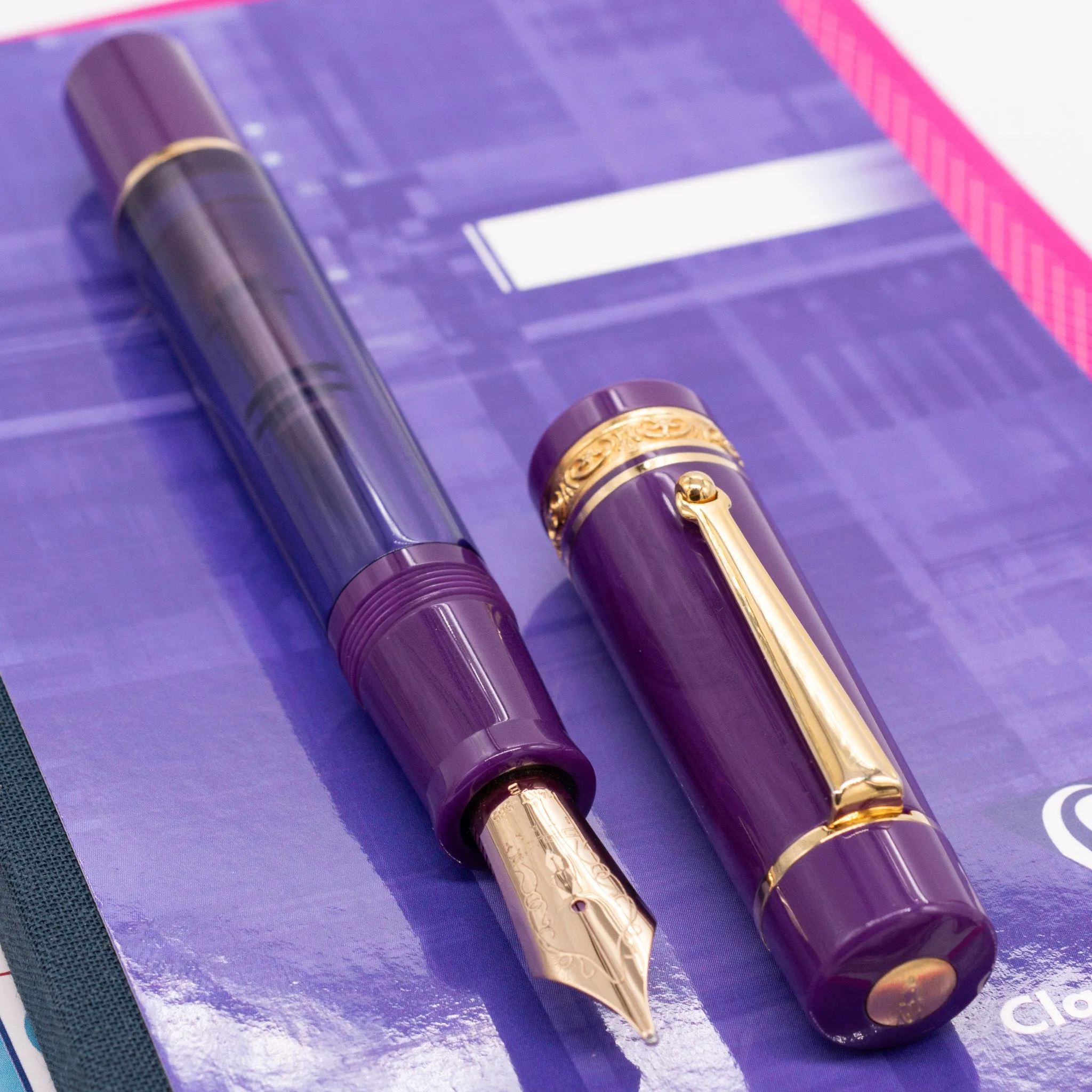 Delta Majestic Purple Limited Edition Fountain Pen