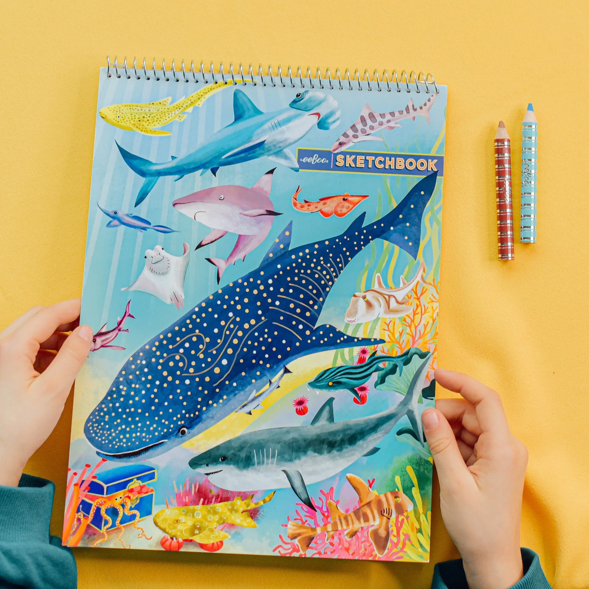 eeBoo Shark Sketchbook