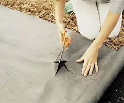 Fabric Scissors