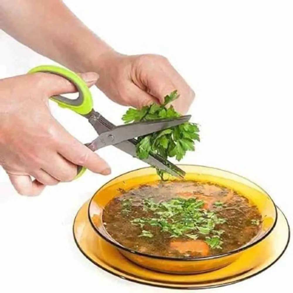 FreshDcart FDCA695 Multipurpose Kitchen Shredding Scissors chilli cutter Vegetable Cutter with 5 Layer Blade Safety for Cutting Green Onion, Herbs, Spices, Vegetable & Paper (Multicolor,Pack of 1)