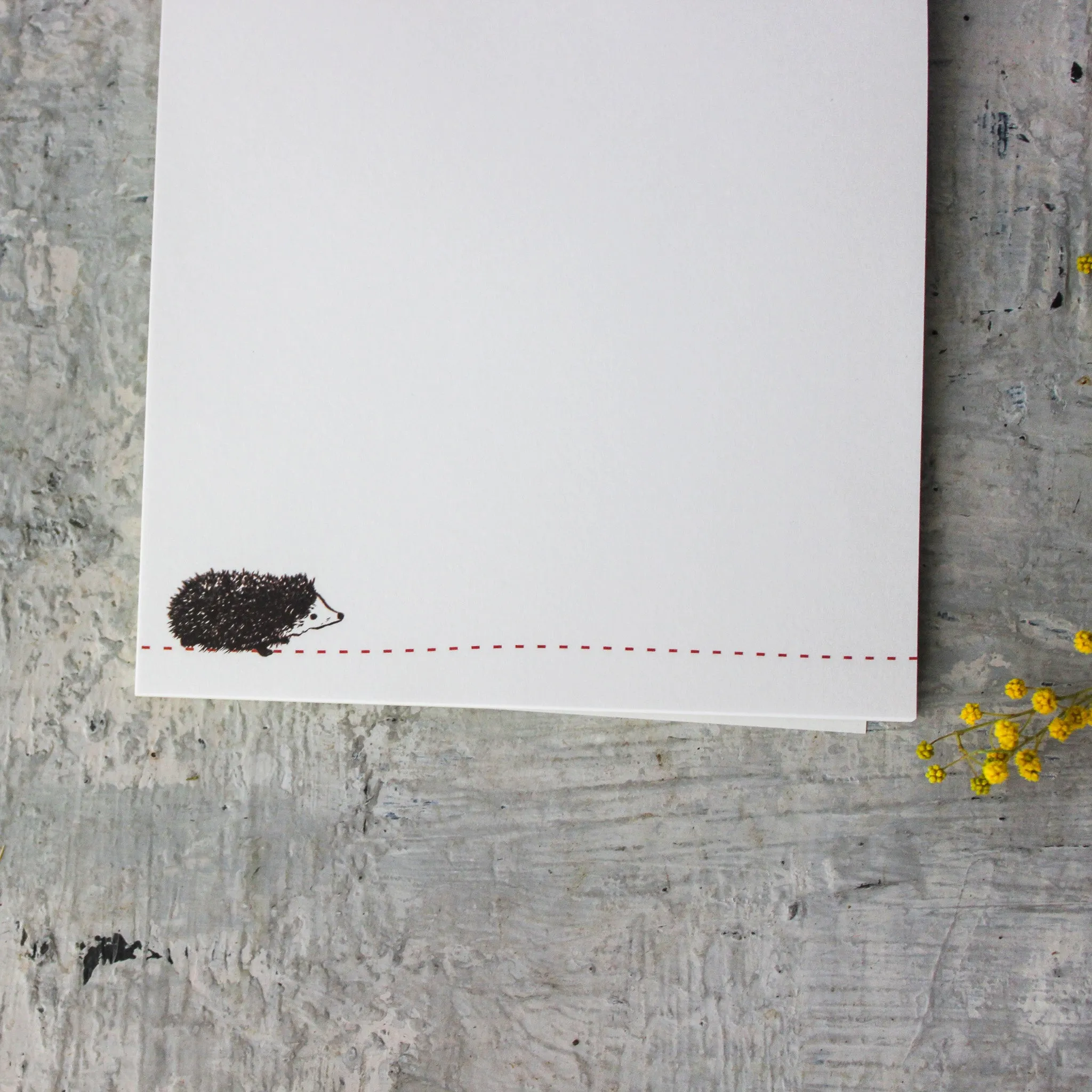 Hedgehog Memo Pad