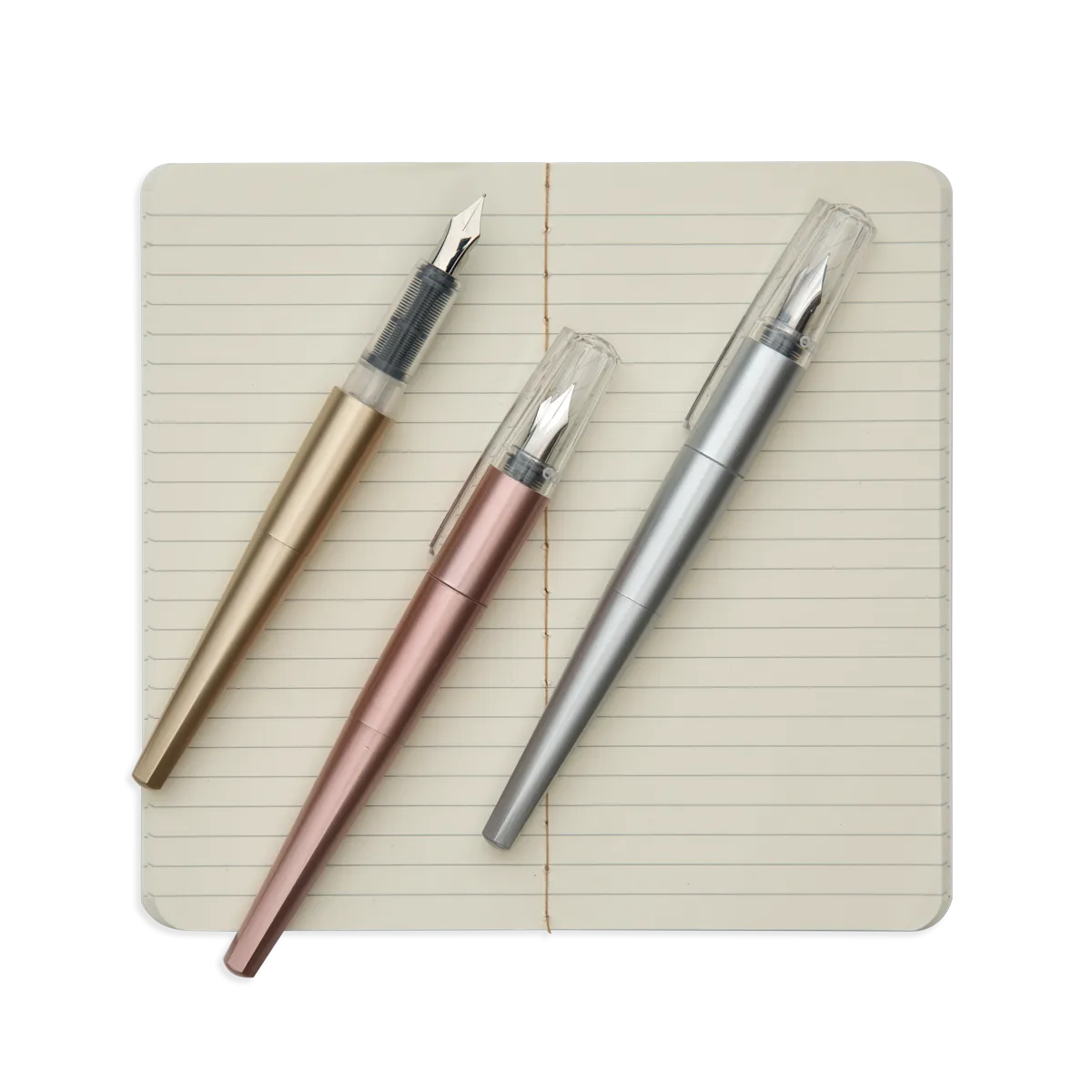 Modern Script Fountain Pens and Journal