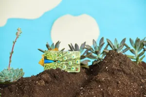 Peacock Condom Holder by 11:11 Enterprises