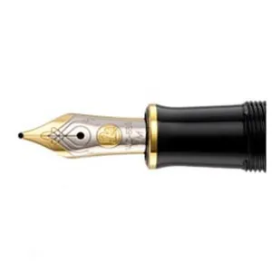 Pelikan Nib Part (14K) - M400 Two-Tone