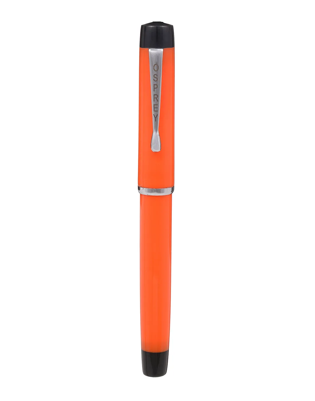 Scholar Zebra G Fountain Pen