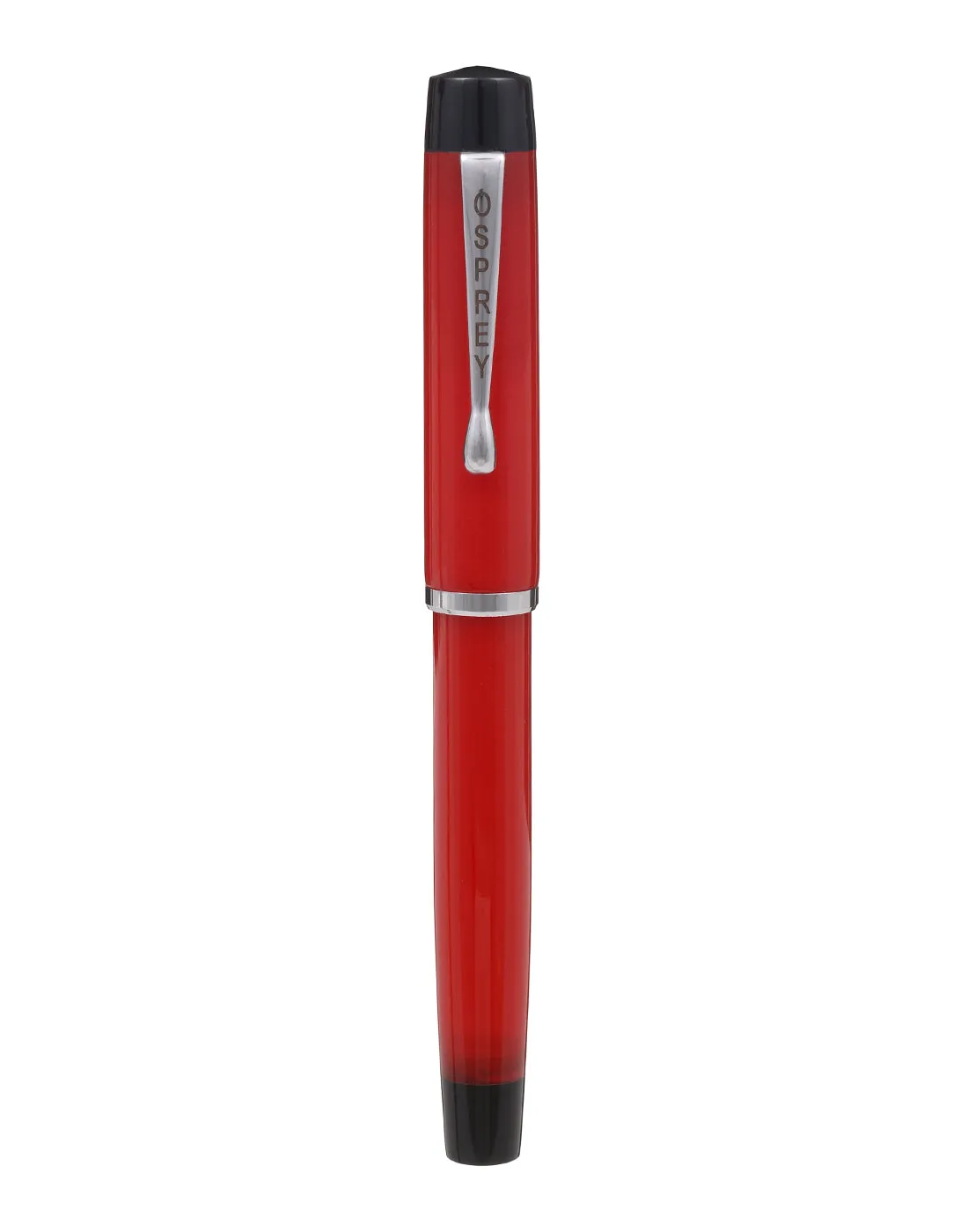 Scholar Zebra G Fountain Pen