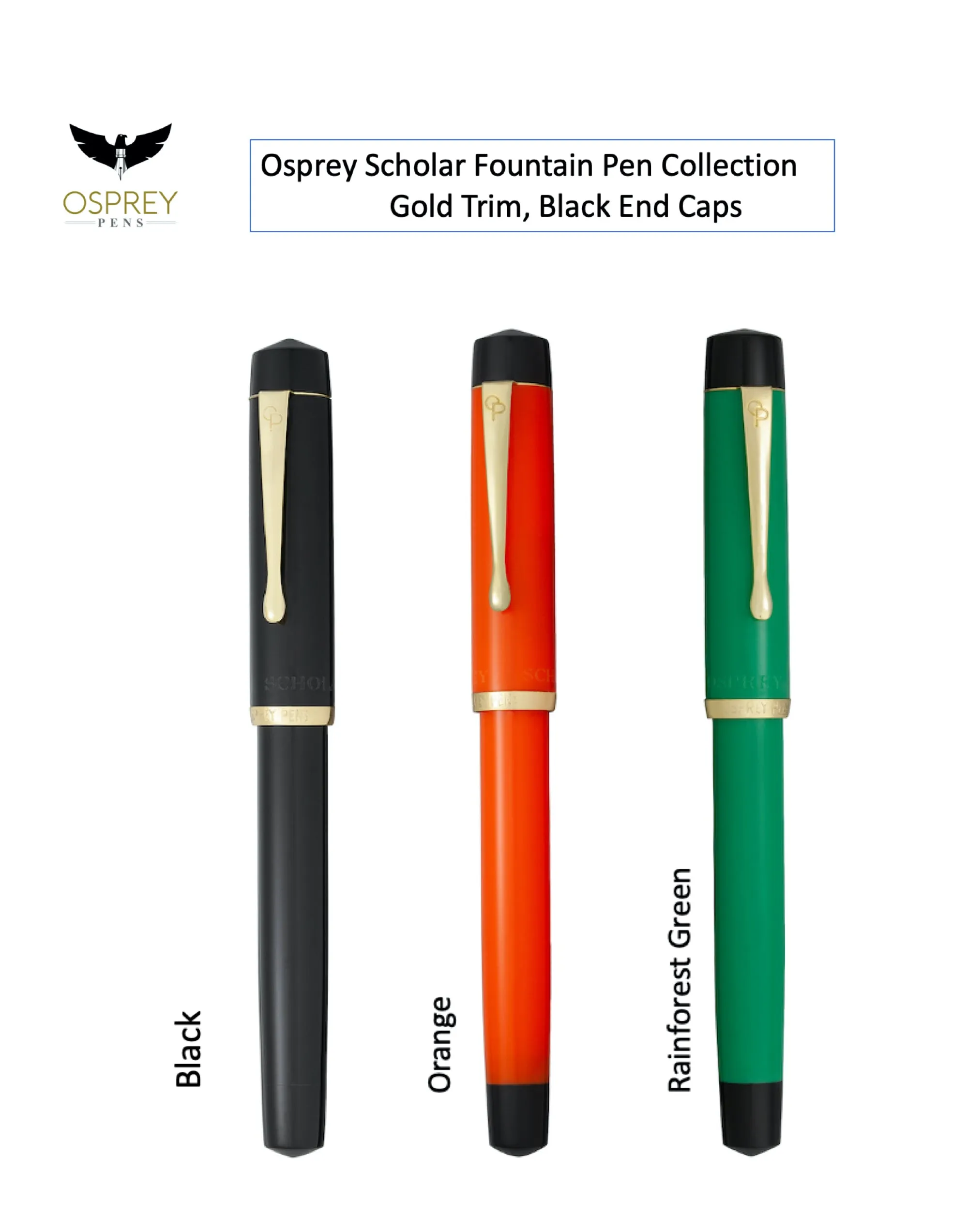 Scholar Zebra G Fountain Pen
