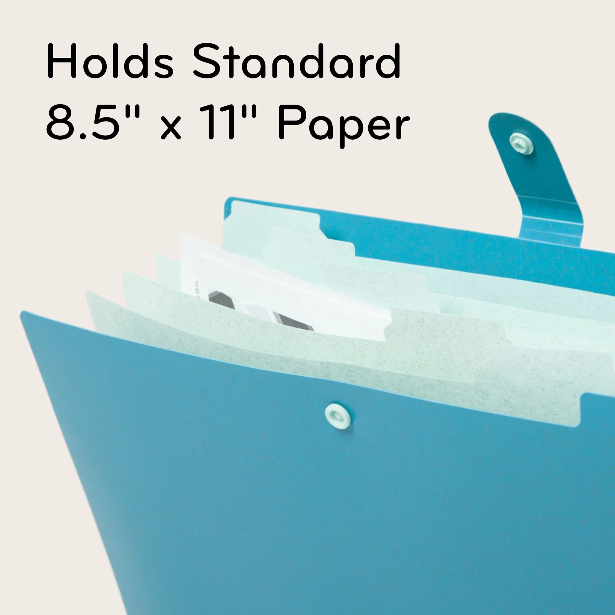 Speckled Bright 6 Pocket Poly Expandable Folder, 3 CT Assorted Colors