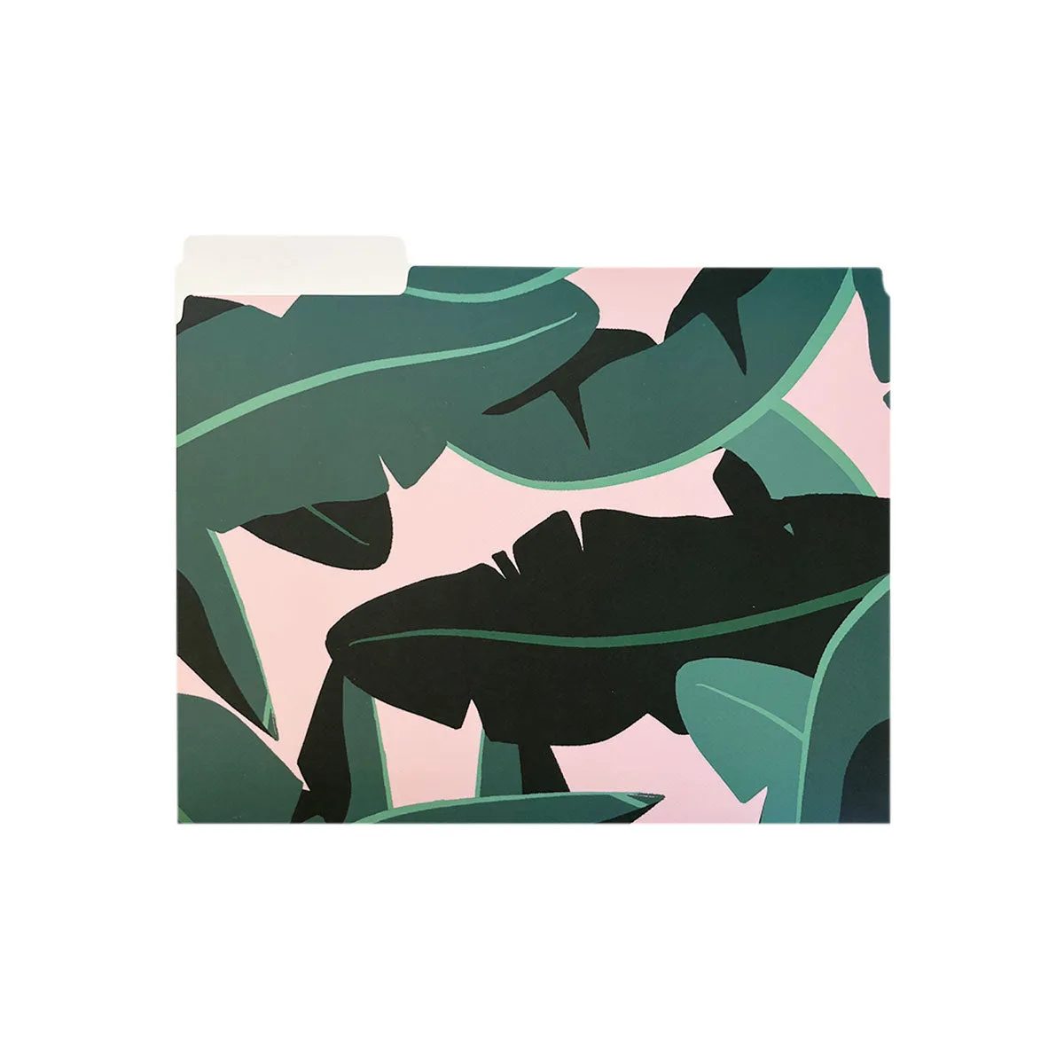 Tropical in Pink File Folders, Set of 3