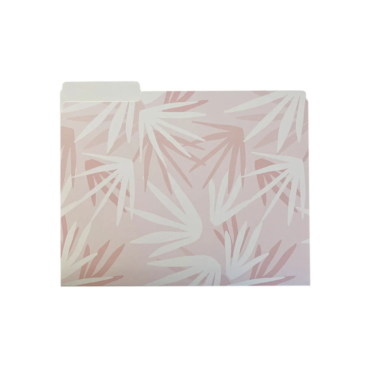 Tropical in Pink File Folders, Set of 3
