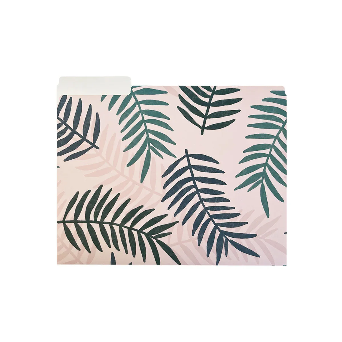Tropical in Pink File Folders, Set of 3